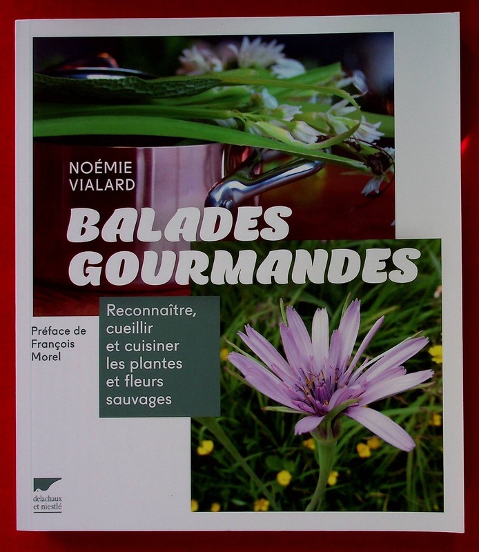Balades Gourmandes Reconnaitre Cueillir Et Cuisiner Plantes Et Fleurs Sauvages