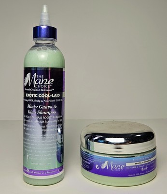 A Set Of Two The Mane Choice Hair Products **$35 VALUE**