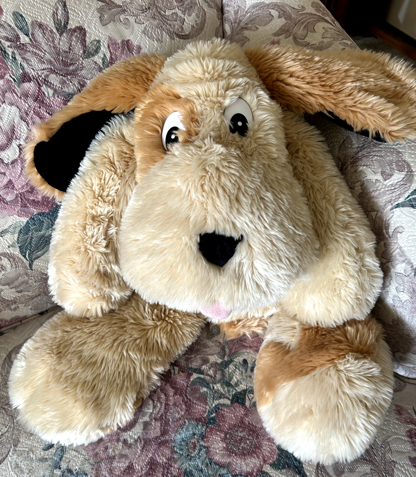 Soft Dog - Euc