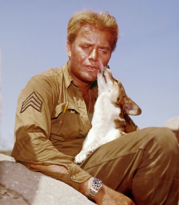 COMBAT - TV SHOW PHOTO #N-58 - VIC MORROW