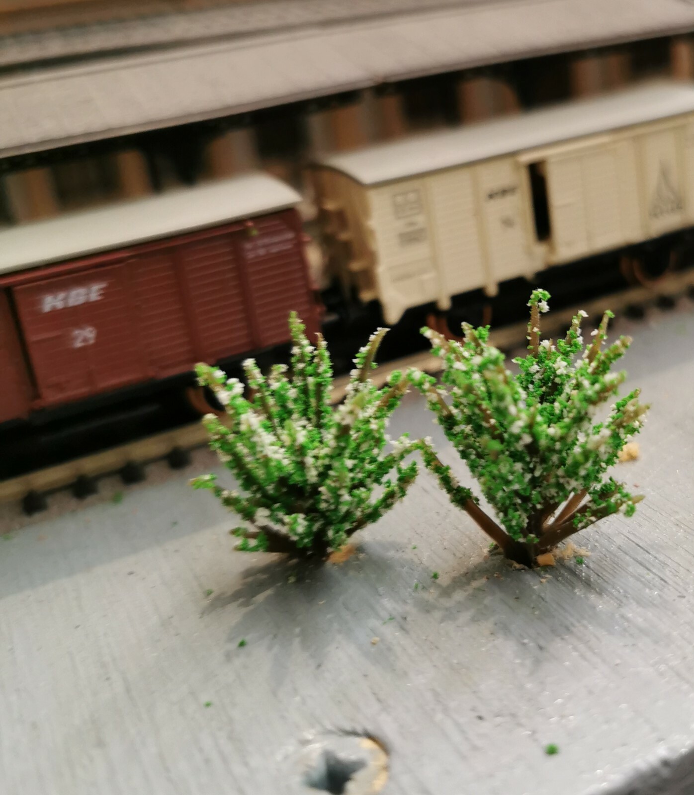 10 White Blooming Bushes, Shrubs, 30 mm High, for Landscape Construction