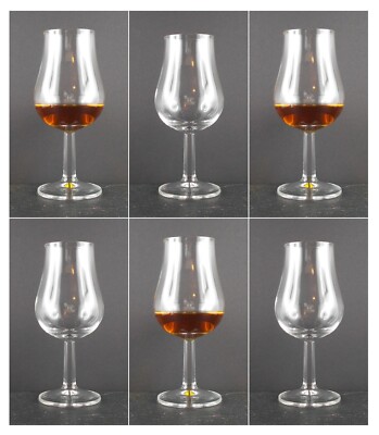 6 Tasting Nosing Gläser Kelch Likör Whisky Whiskey Glas Rum ohne Werbeaufschrift