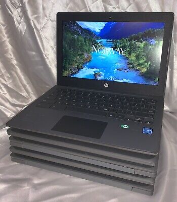 Lot of 5: HP Chromebook 11 G8 EE 11.6  Intel Celeron N4020 4GB 32GB W/ Chargers