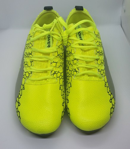 puma men's evopower 1.3 fg soccer shoe