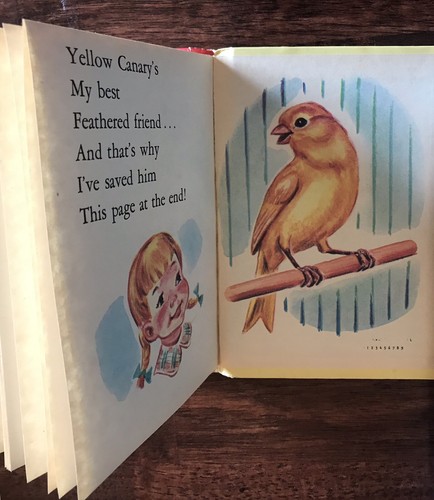 Vintage 1957 Rand McNally Start Right Elf Book Birds