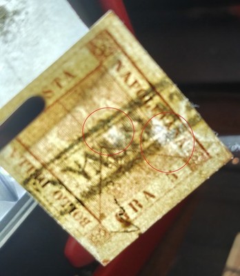 Artikelfoto(s) von einem verifizierten Käufer