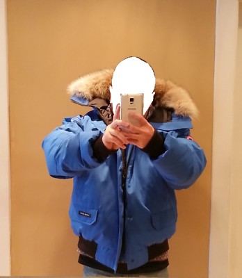 Pre-owned Canada Goose Grey Label Edition Polar Bear  Blue Label Pbi Chilliwack Xl Parka In Royal Blue (polar Bear Limited Edition) Pbi