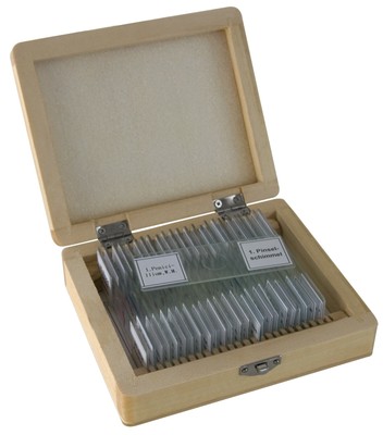 BRESSER Dauerpräparate 25 Stück/Box