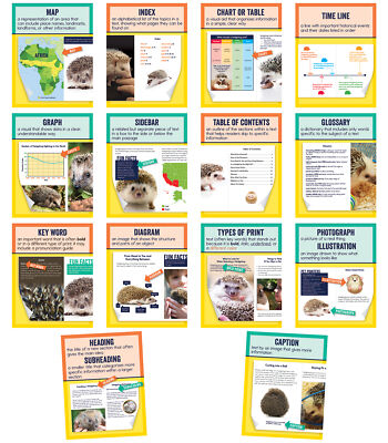 Carson Dellosa Mini Posters: Nonfiction Text Features Poster Set Grade 1-6 (14