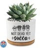AKAQCHANG Not Dead Yet Succa,3.5 inch Ceramic Succulent Cactus Planter Pots,with Drainage Hole,Funny Planters for Indoor Plants,Home Office Pot Decor,for Women Mom Plant Lovers(Plant Not Included)