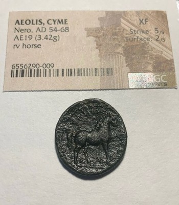 Photos de l'objet d'un acheteur vérifié