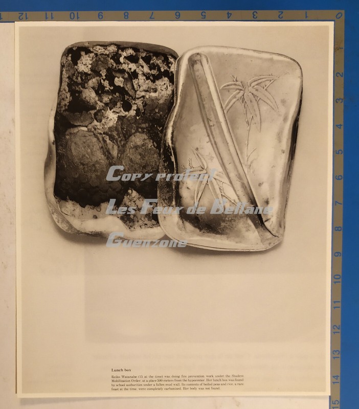 Lunch Box Hiromi Tsuchida Photo Document Clipping