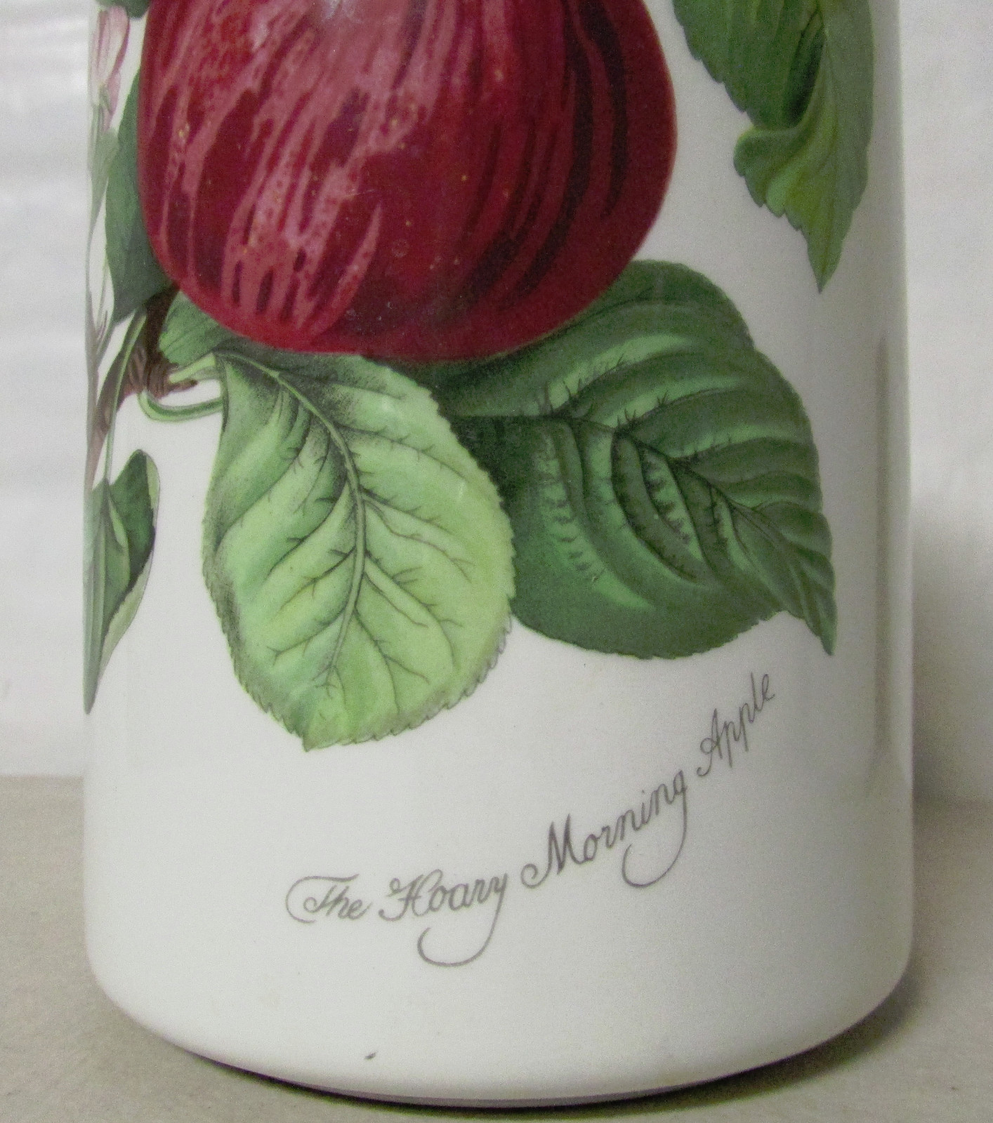Portmeirion container hoary morning apple Susan Williams Ellis made in England