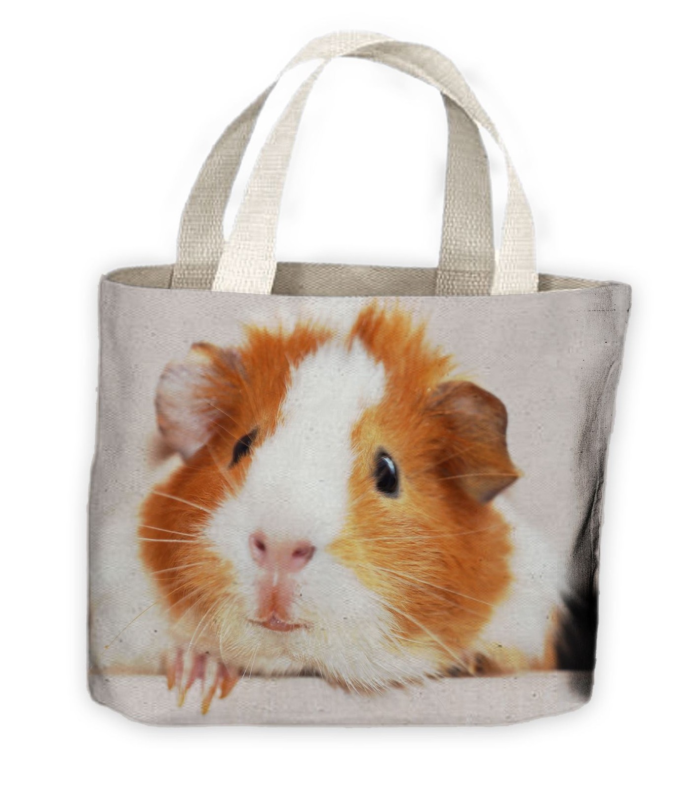 guinea pig handbag