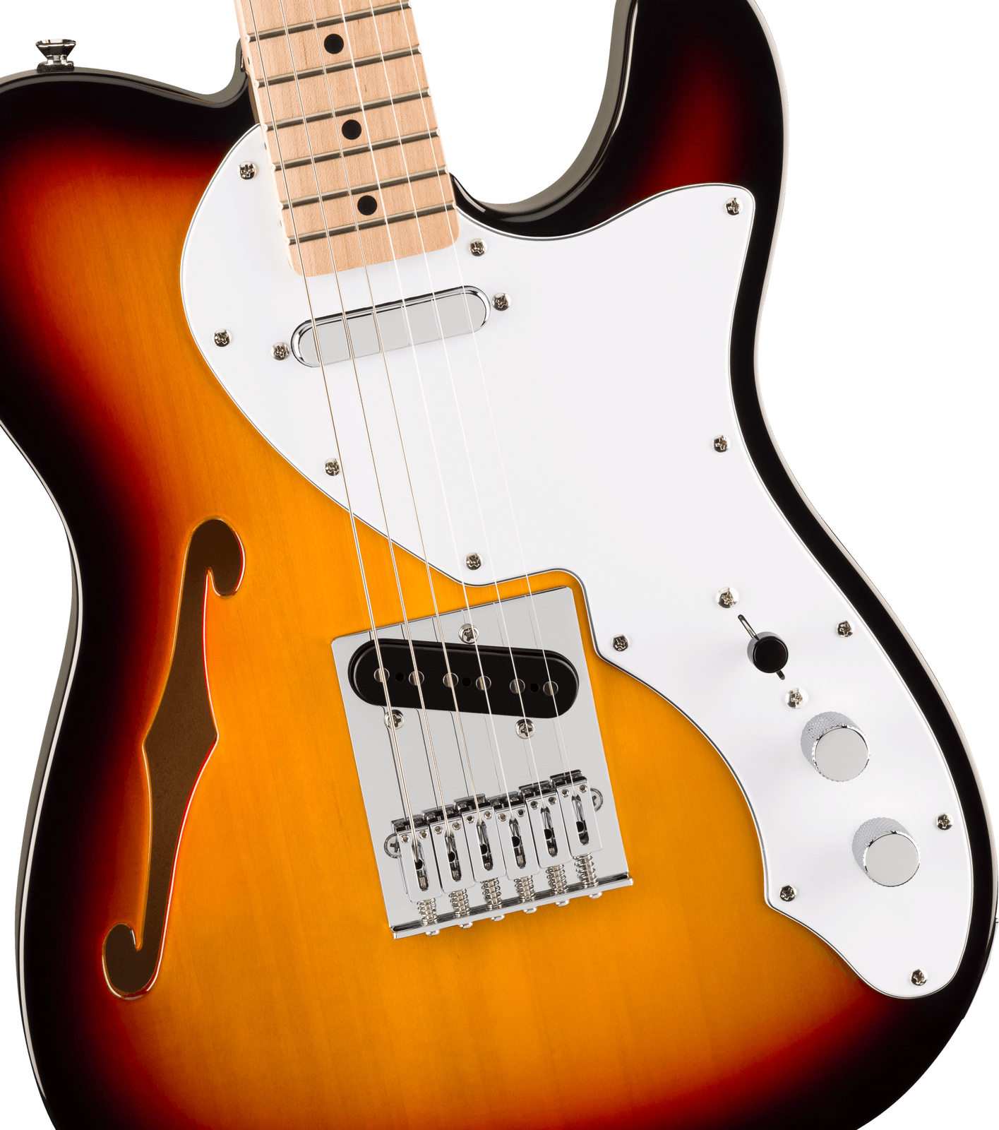 Squier Affinity Series Telecaster Thinline - 3-Color