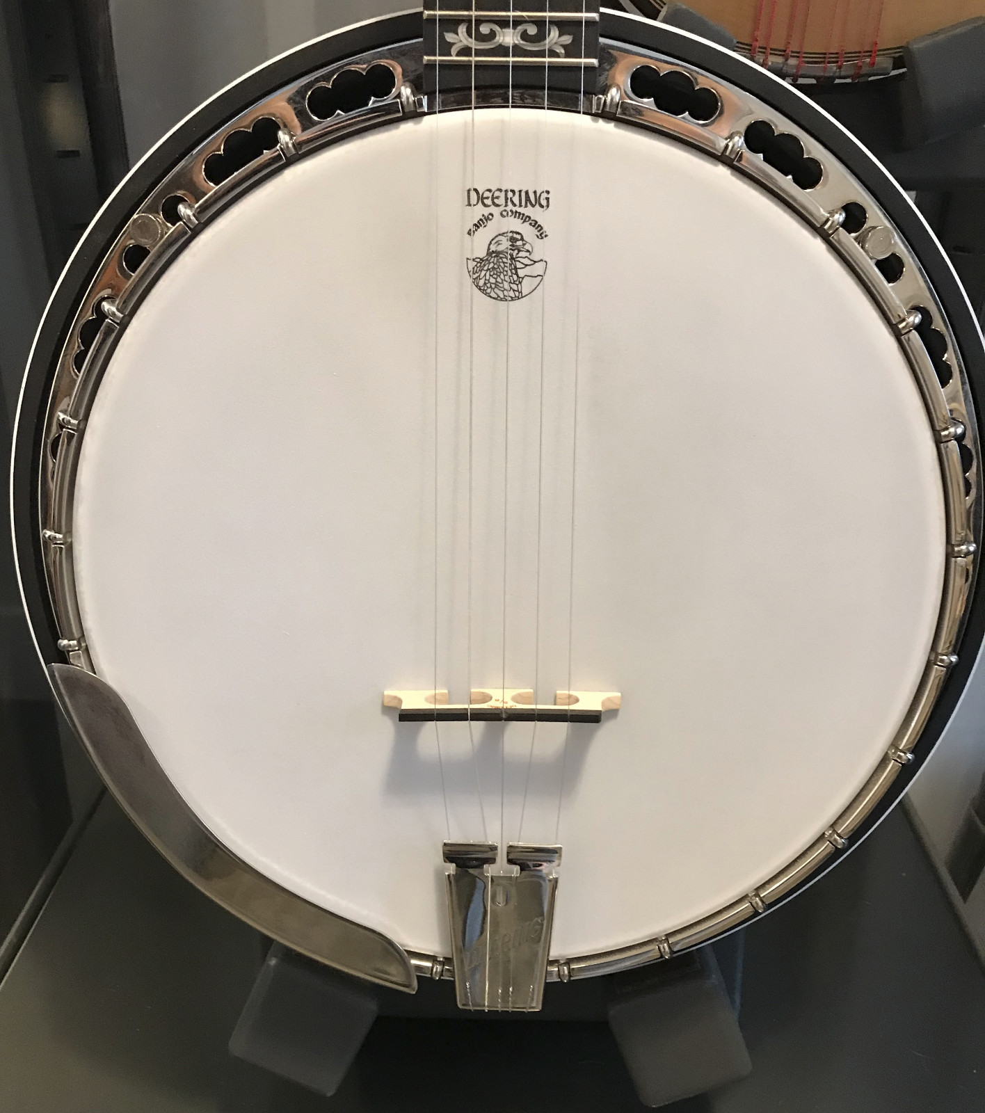 Deering Sierra Banjo