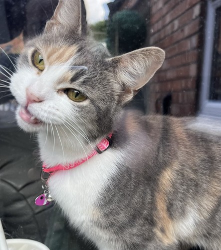 Item photo(s) from verified buyer