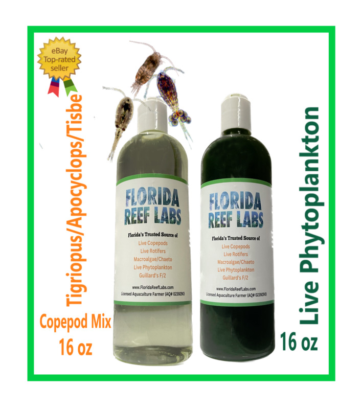 LIVE Copepods 16oz / Live Phytoplankton 16oz Combo - Florida Reef Labs™