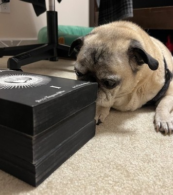 Item photo(s) from verified buyer