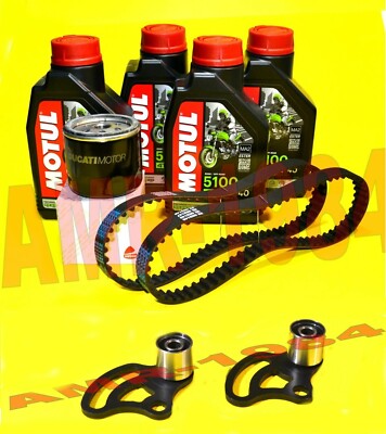 CINGHIE DISTRIBUZIONE DUCATI Monster 620 695 Dayco + TENDITORI + OLIO + FILTRO