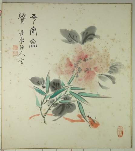 ⭐︎SHISHIKUI nepベージュ⭐︎美品 the shishikui シシクイ 完売品 NKITT ベージュ