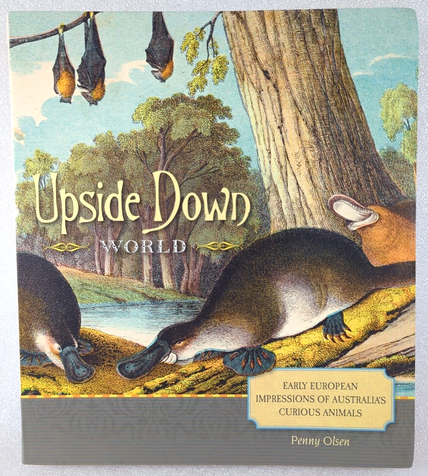 Preview of Upside Down World