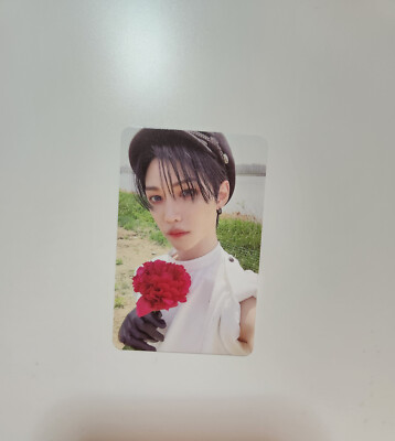 STRAY KIDS SKZ Official Maxident Album Photocards New PC