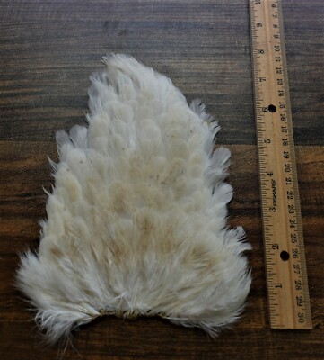 Lot  119,  Natural White Hen Back Saddle Soft Hackle Feathers for Fly Tying