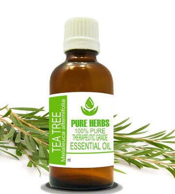 Pure Herbs Tea Tree 100% Pure & Natural Melaleuca alternifolia Essential Oil