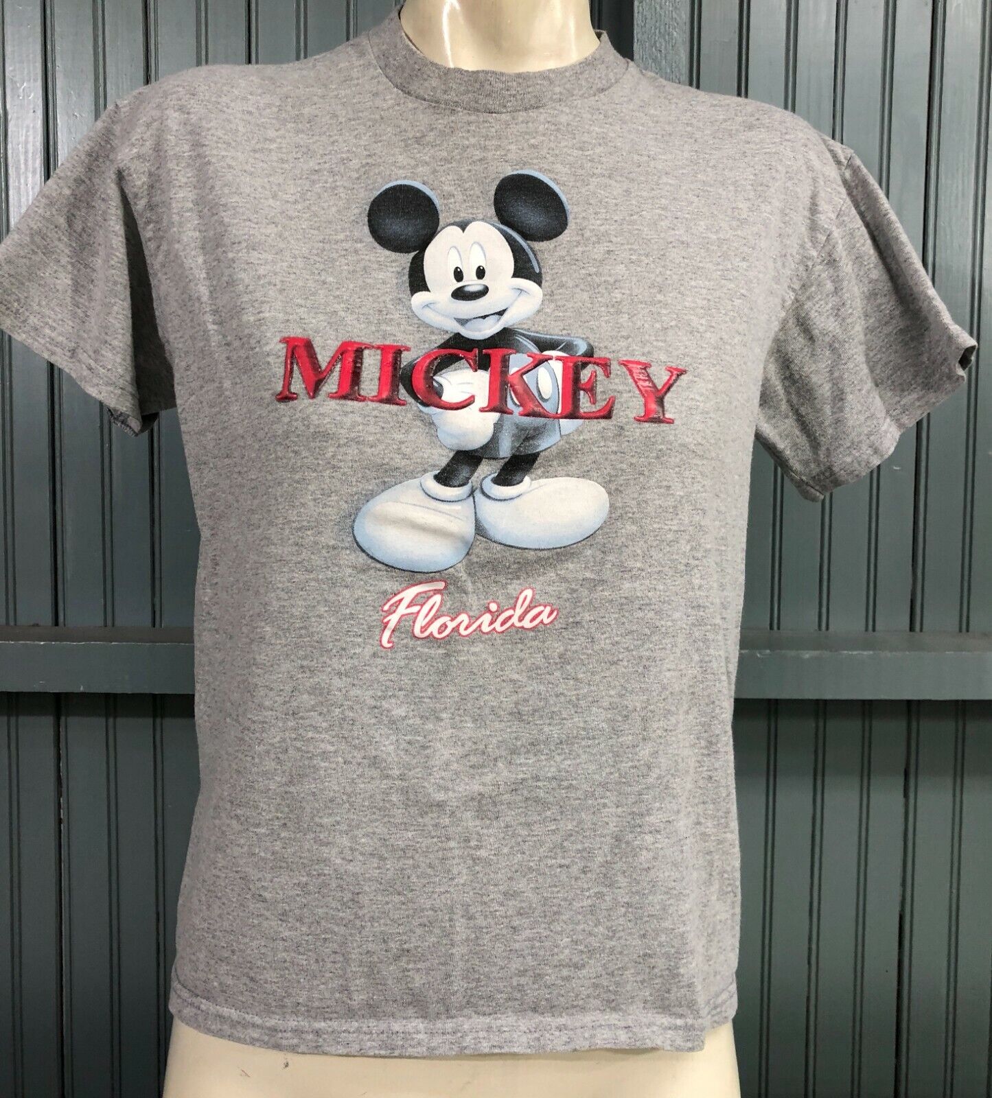 Mickey Mouse Disney Florida Gray Youth Kids XL T-Shirt