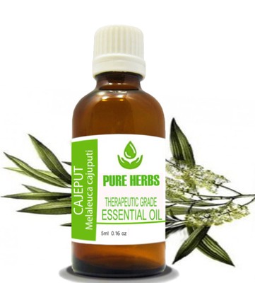 Pure Herbs Cajeput Melaleuca Cajuputi 100% Pure & Natural Essential Oil