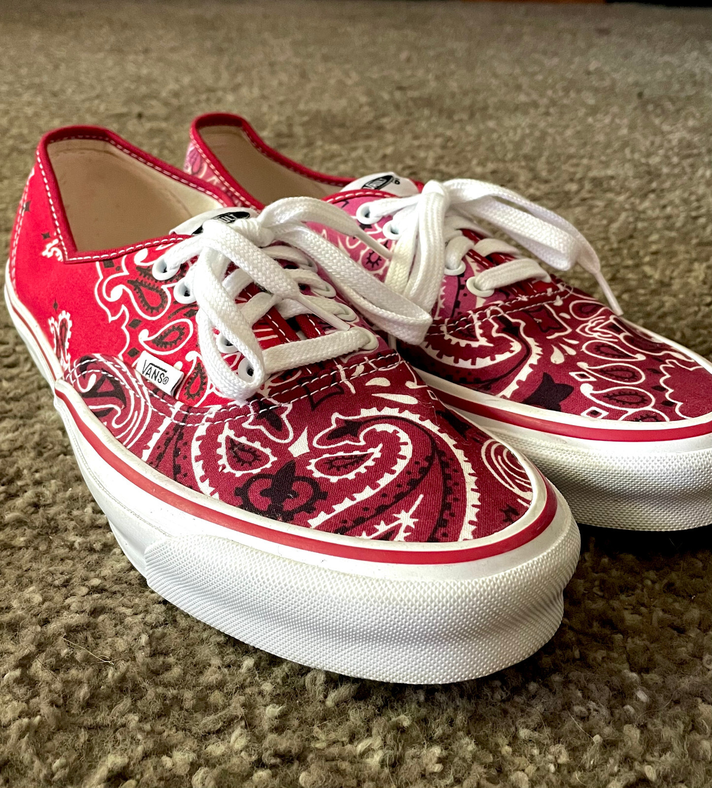 VANS Bedwin & The Heartbreakers BANDANA Red Paisley SHOES VANS Bedwin & The Heartbreakers BANDANA Red Paisley SHOES
