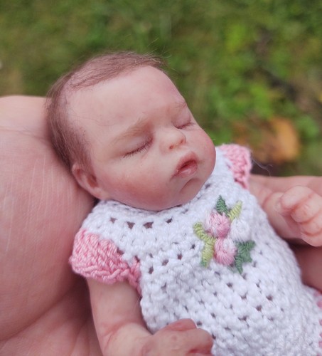 mini reborn doll
