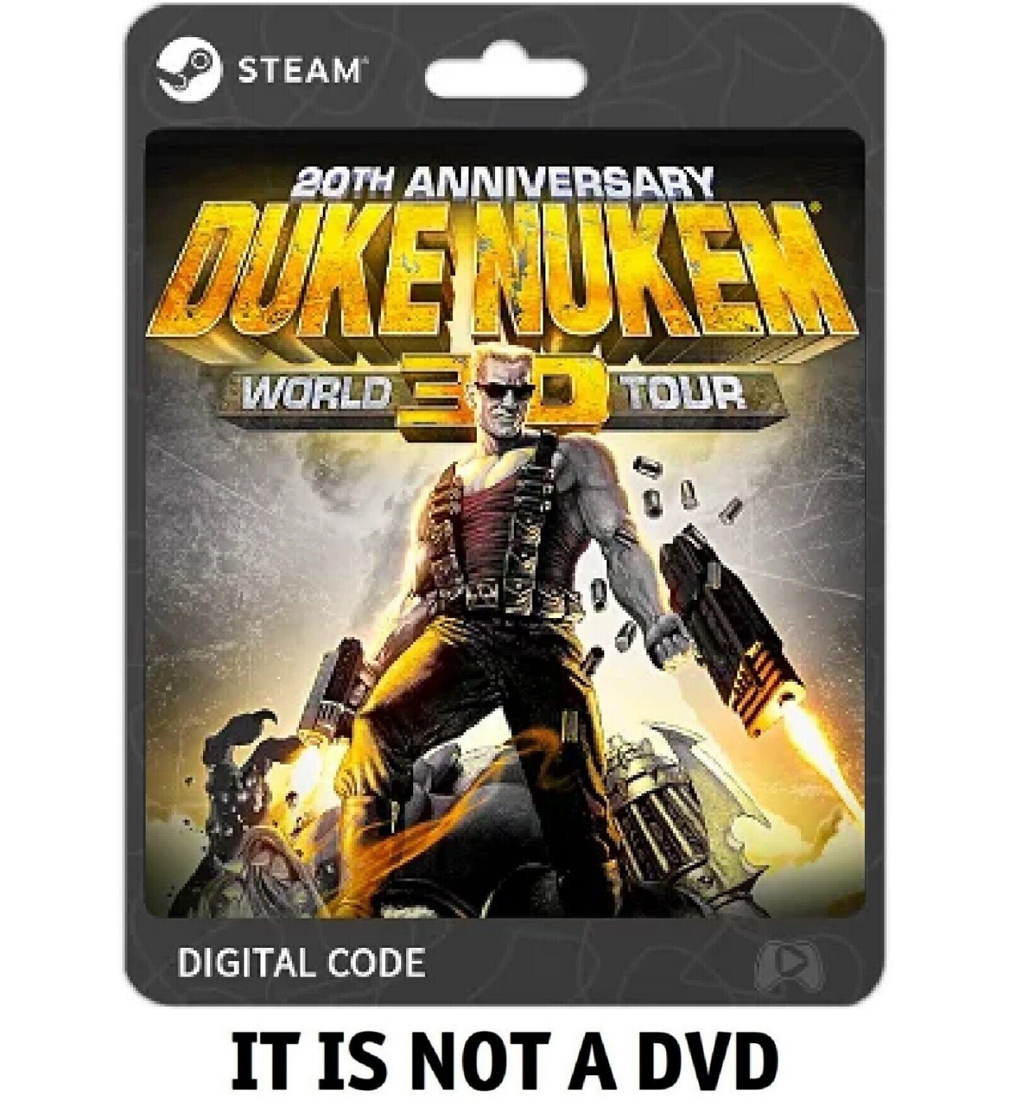 Duke Nukem 3D 20th Anniversary World Tour Steam PC Key