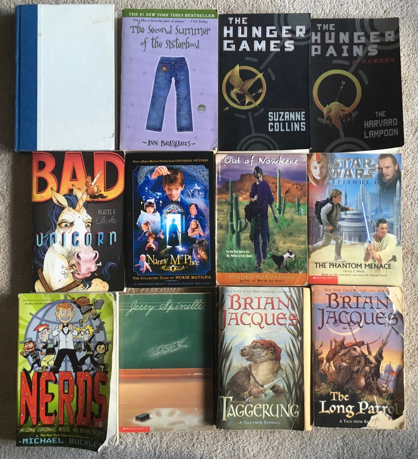 Mixed Lot 60 Middle School Books: Sachar Jacques Alcott Hiaasen White Clearly