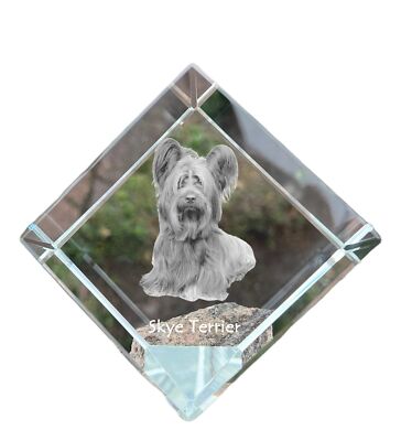 Skye Terrier - Crystal Cube With Image, Horse Image In Crystal, Hexagonal Pap