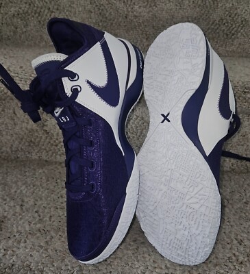 NEW Sz 12.5 Men Nike LeBron NXXT Gen Tb Promo Team Purple Basketball FN7092-500