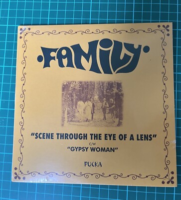 FAMILY SCENE THROUGH THE EYE OF A LENS UK RARE 2015 RSD ISSUE  MINT STILL SEALED