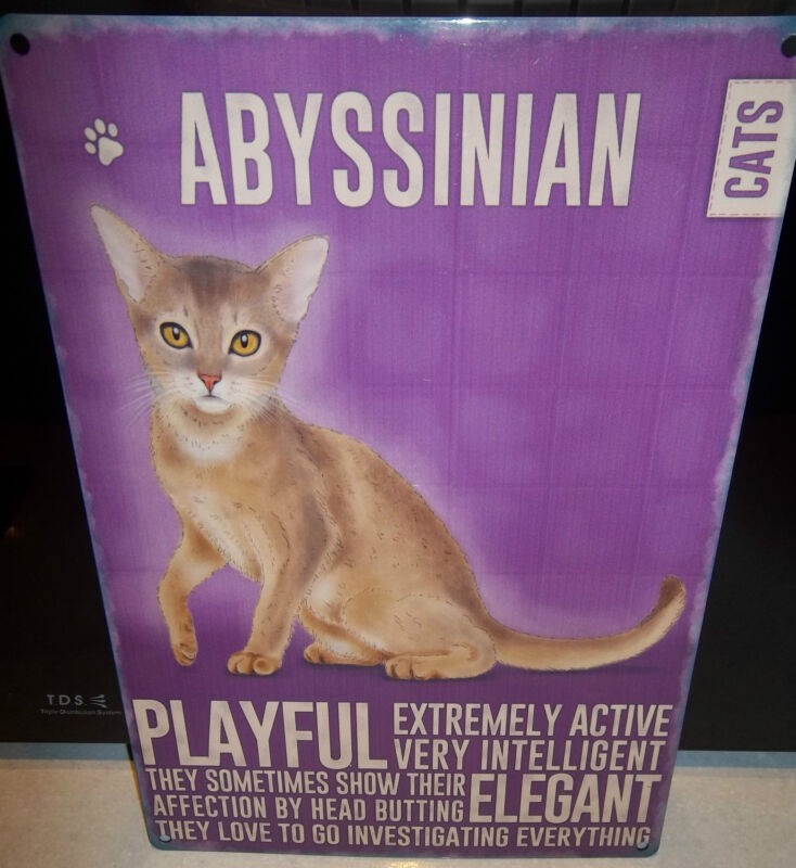 ABYSSINIAN CAT 12"X 8" MEDIUM METAL SIGN 30X20cm WITH CHARACTER DESCRIPTION/CATS