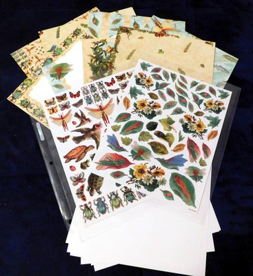 New Nature Series 8-1/2 x11 20 Pgs 4 Border 4 Design White Stickers Scrapbooking