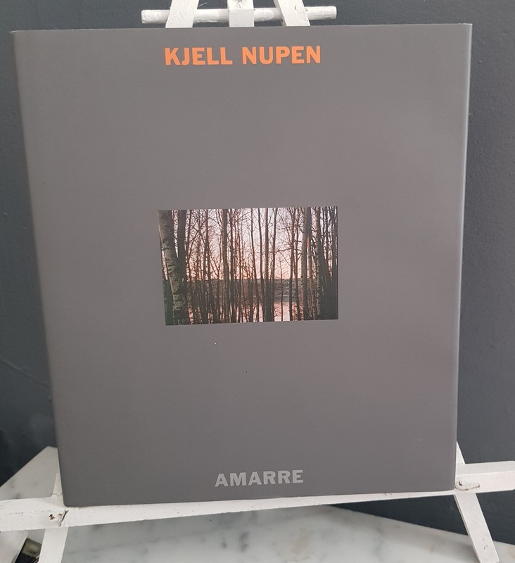 Kjell Nupen  ( Peintre, Sculpteur Et Graphiste NorvÃ©Gien ( 1955-2014) ~Peintures