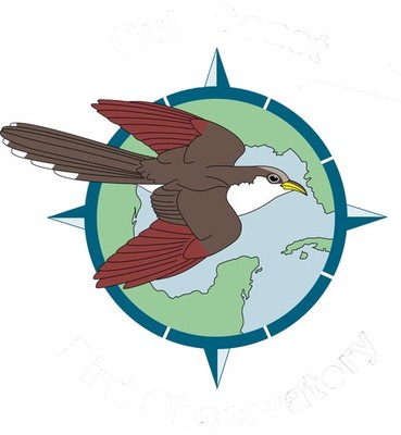 Gulf Coast Bird Observatory