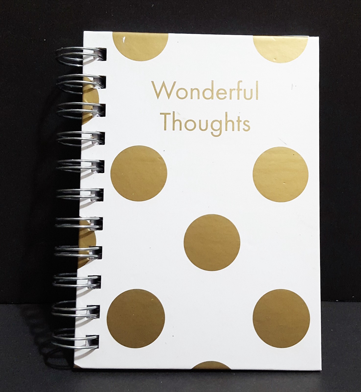 Robert Frederick Spiral Bound  Notebook Journal Diary 4
