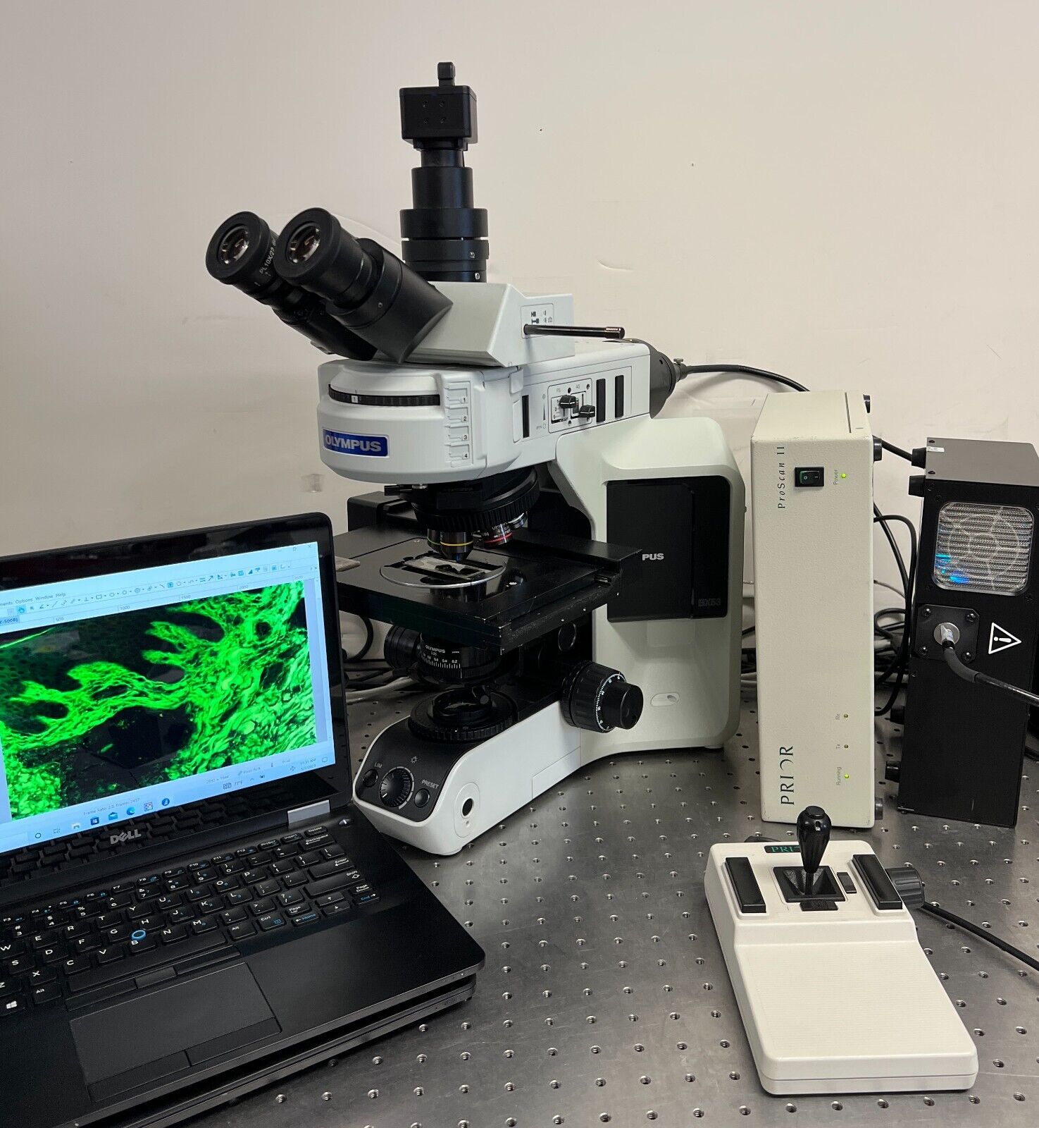 Olympus BX53 Fluorescence Microscope Prior Scanning Lumencor