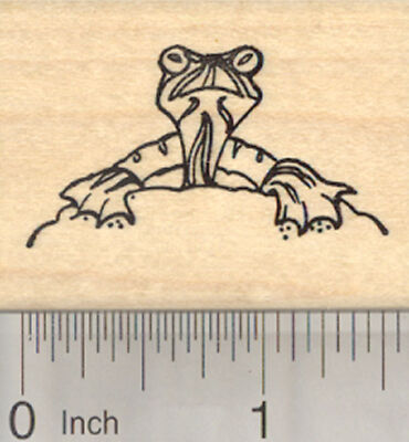 Yellow Bellied Slider Rubber Stamp, semi-aquatic Turtle E23520 WM