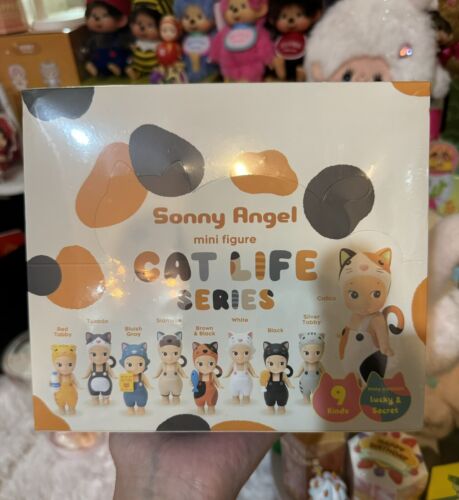 Sonny Angel Cat Life Series New In Seal Unopened BOX | eBay