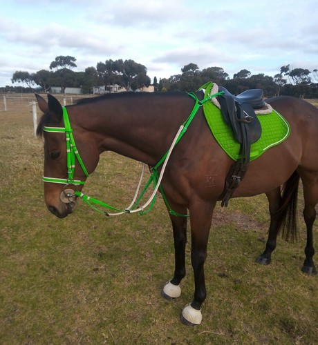 Artikelfoto(s) von einem verifizierten Käufer