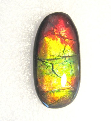 AMMOLITE GEMSTONE 26mm x 13mm