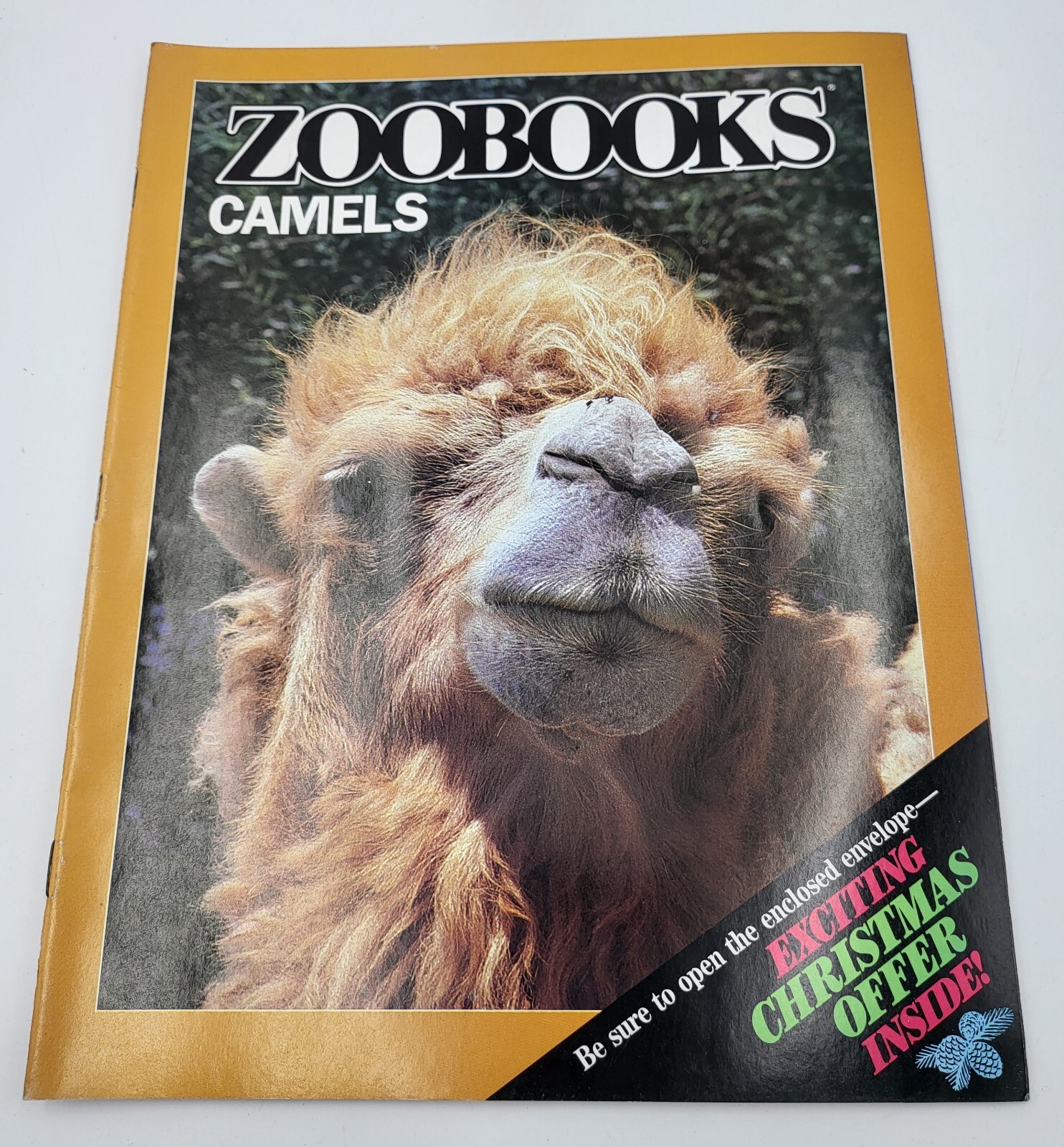 Zoo Books Camels Vintage October 1989 - Preowned | eBay Zoo Books Camels Vintage October 1989 - Preowned | eBay