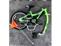 weeride copilot bike trailer